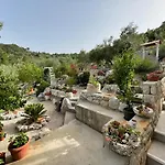 Leviana